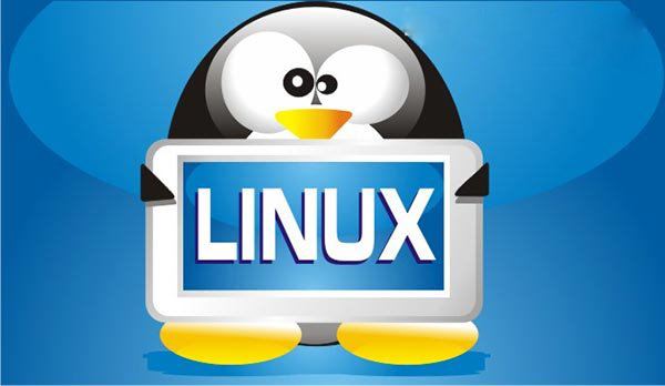 Linux系統(tǒng)作為服務(wù)器系統(tǒng)有什么優(yōu)勢?